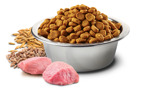 Farmina N&d tropical selection nourriture chien agneau moyen/grand