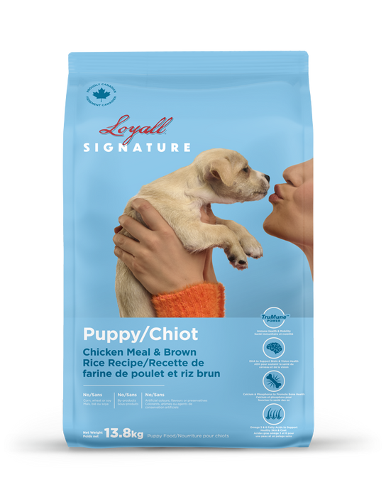 Loyall nourriture pour chiot