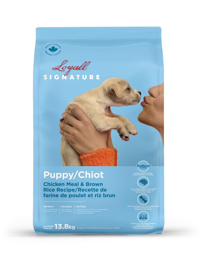 Loyall nourriture pour chiot