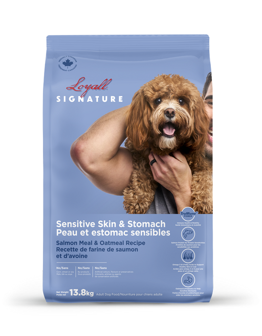 Loyall Signature Recette de saumon pour peau et estomac sensibles 13,8 KG
