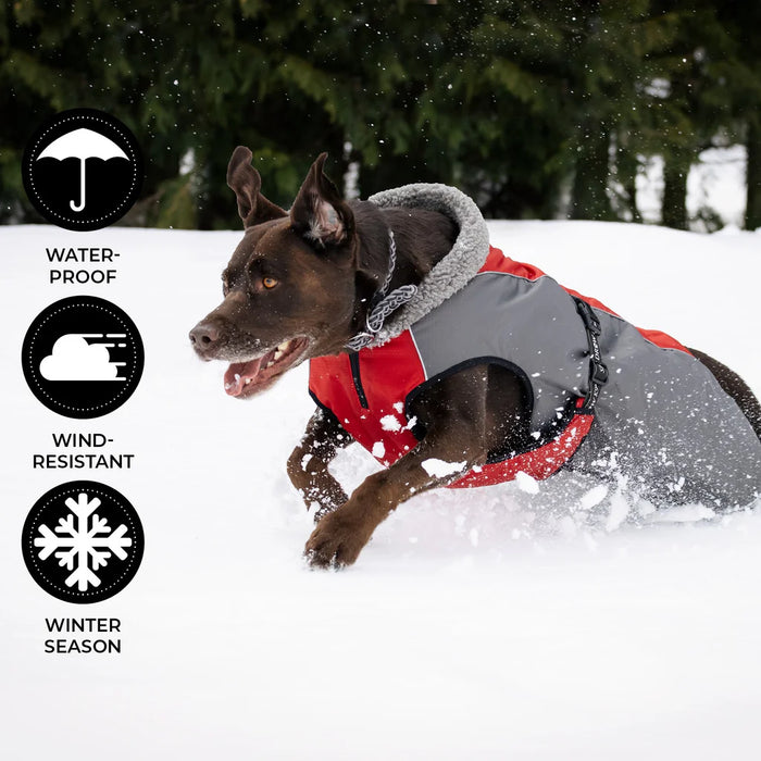 Shedrow manteaux pour chien chinook k9 xl rouge vin / gris