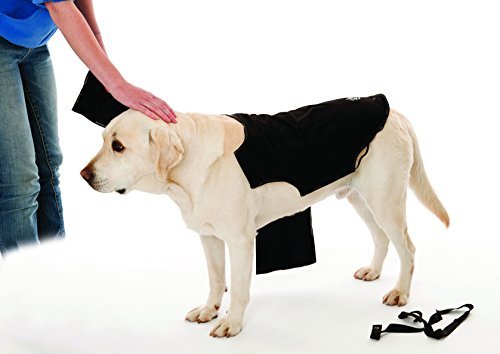 the anxiety wrap calme l'anxiété du chien