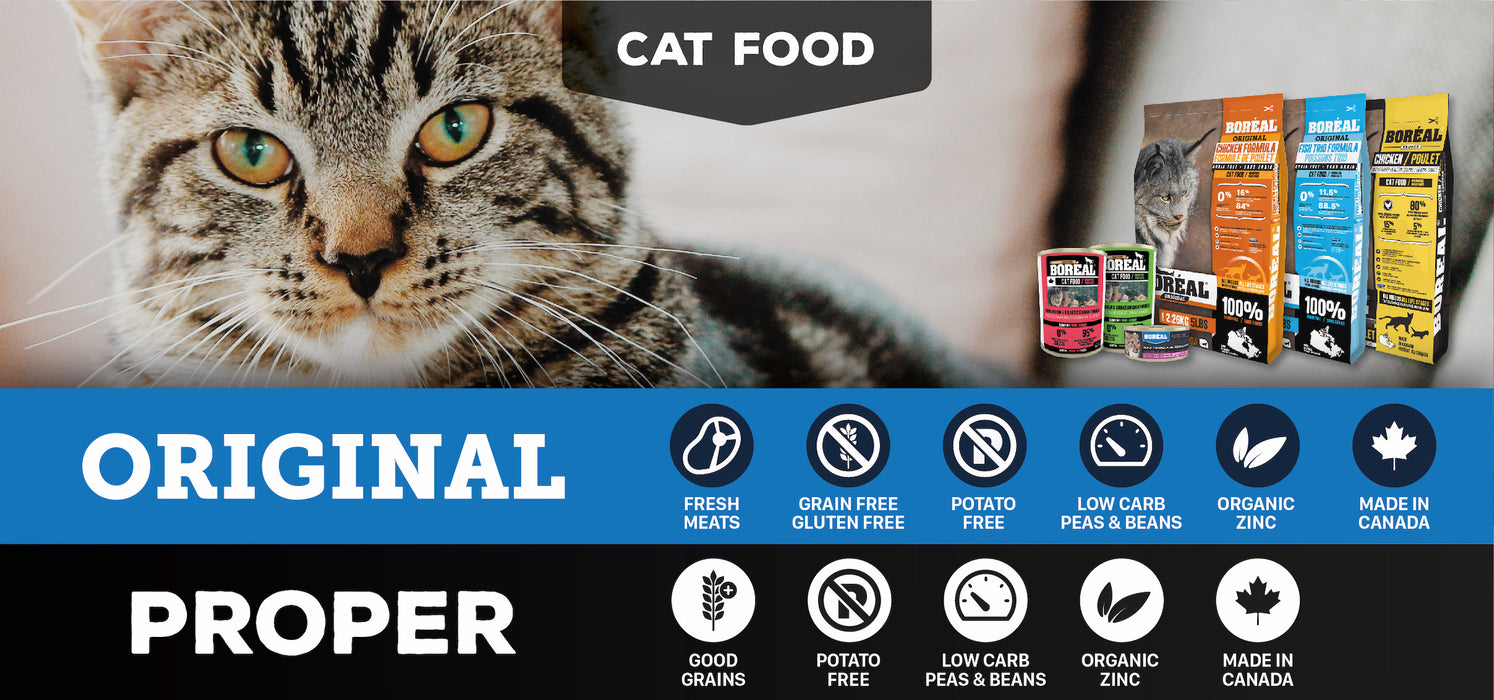 Boréal original poulet nourriture sans grain pour chat,chaton (produit du Canada)