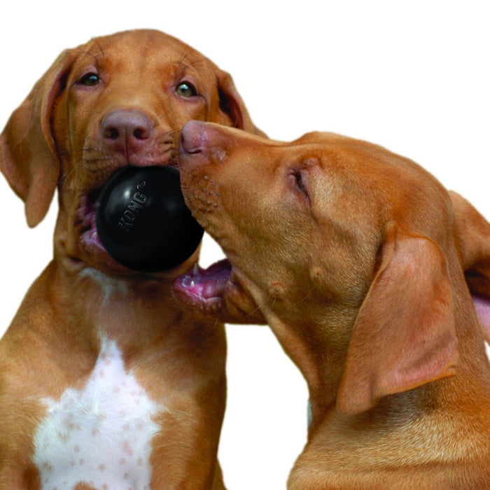 Kong extreme balle ultra dur pour chien