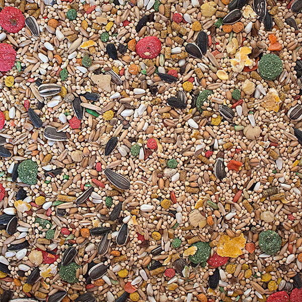 Sunseed nourriture cokatiel et inséparable