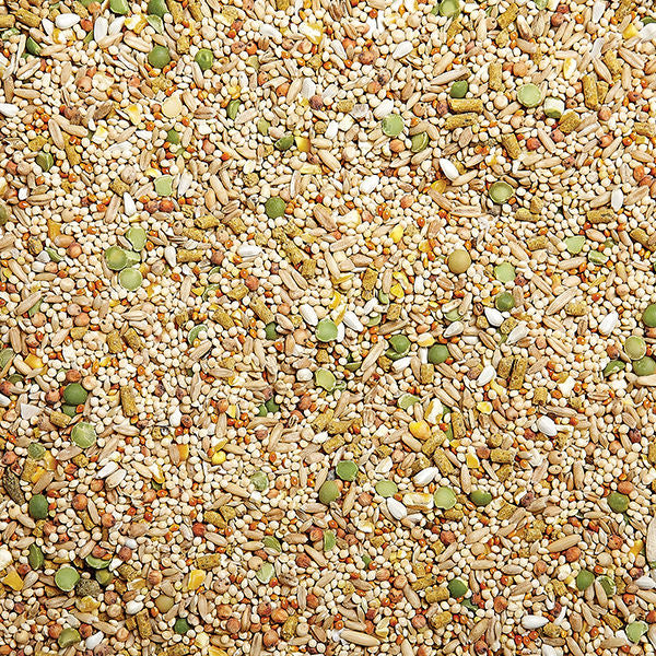 Sunseed nourriture pigeon et colombe