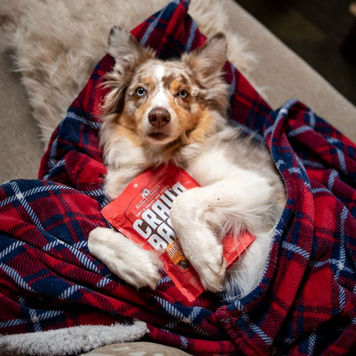 Stella gâterie bacon et boeuf pour chiens