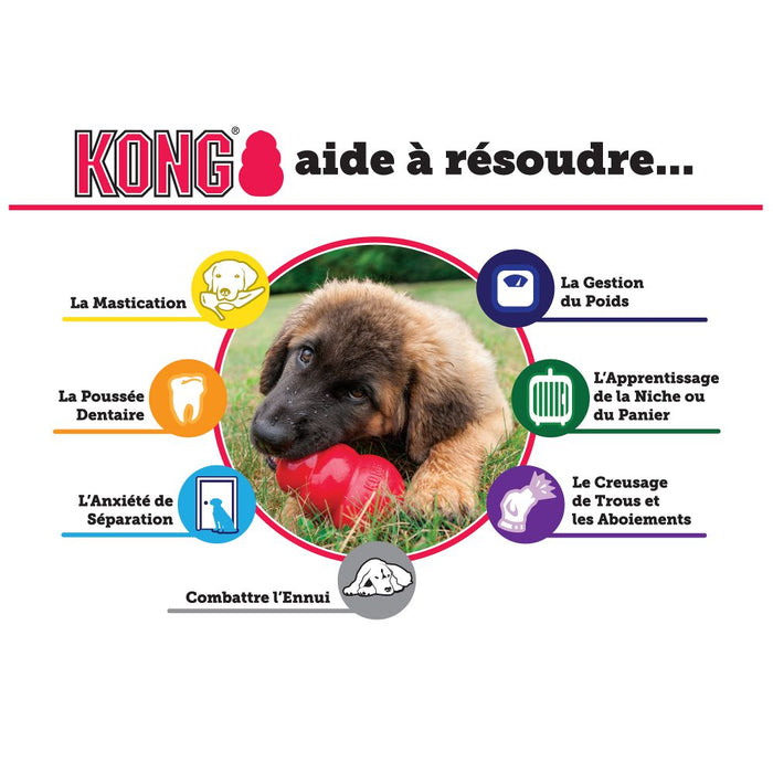 Kong puppy jouet pour chiot