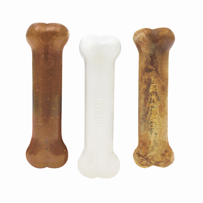 Nylabone jouet à mâcher pour chiot kit de départ au poulet