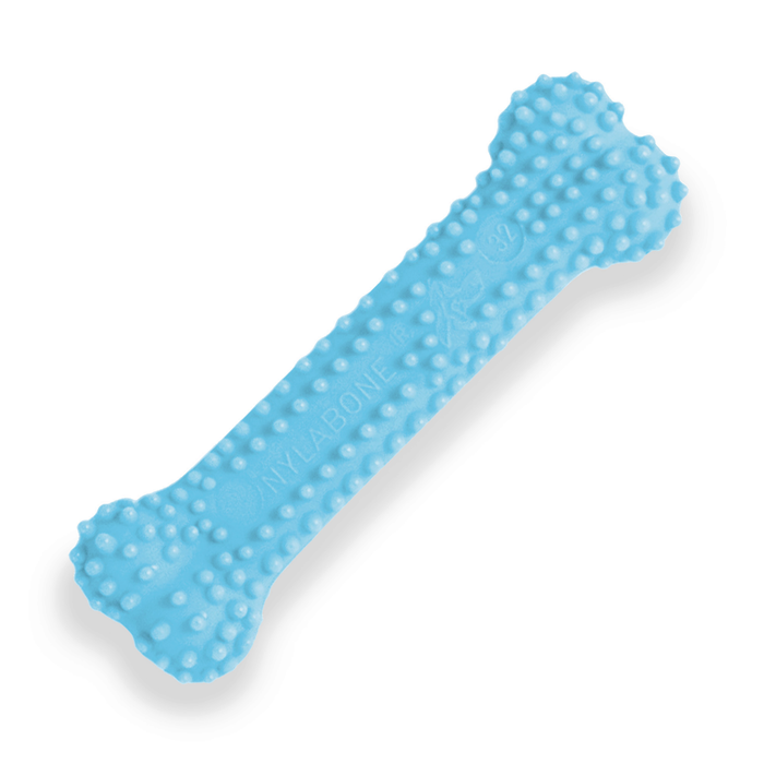 Nylabone jouet à mâcher pour chiot petit os poulet