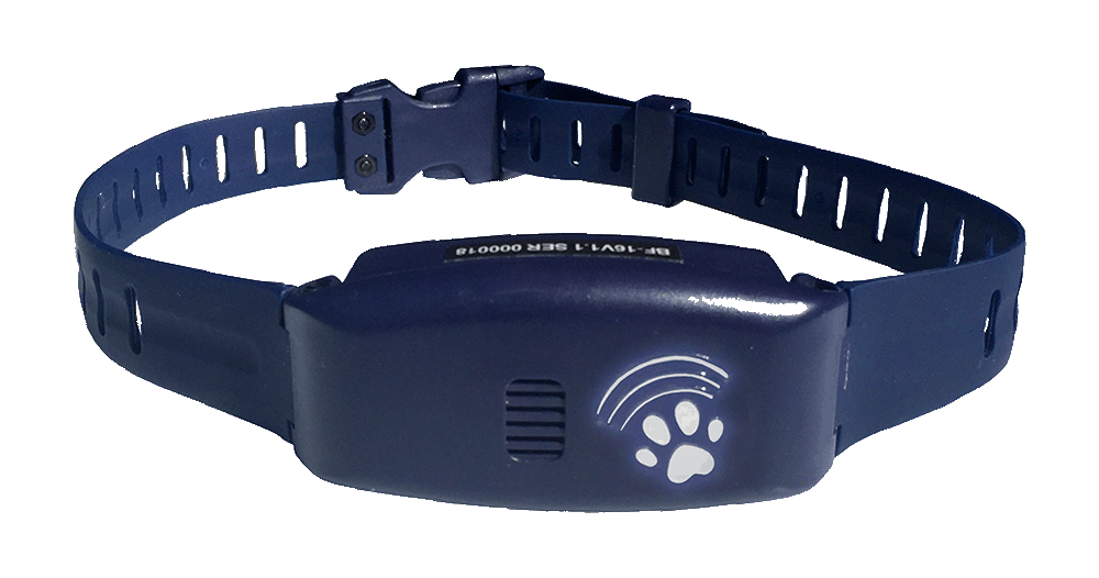 High tech bluefang 4 en 1 bluetooth collier d'entrainement pour chien BF-22