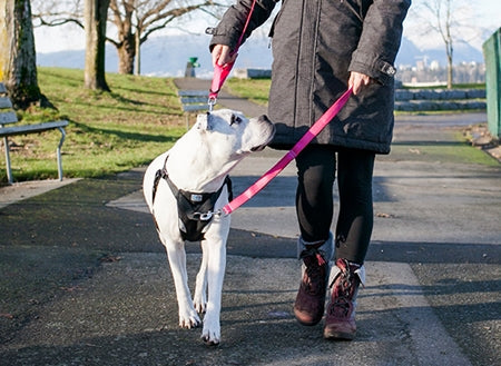 Rc pet laisse de contrôle professionnel pour chien