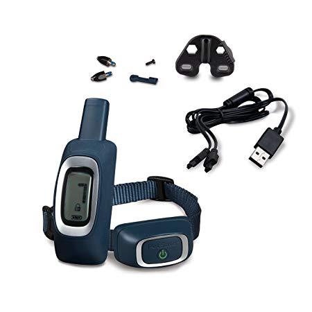Petsafe 100m pdt17-16127 collier de dressage pour chien
