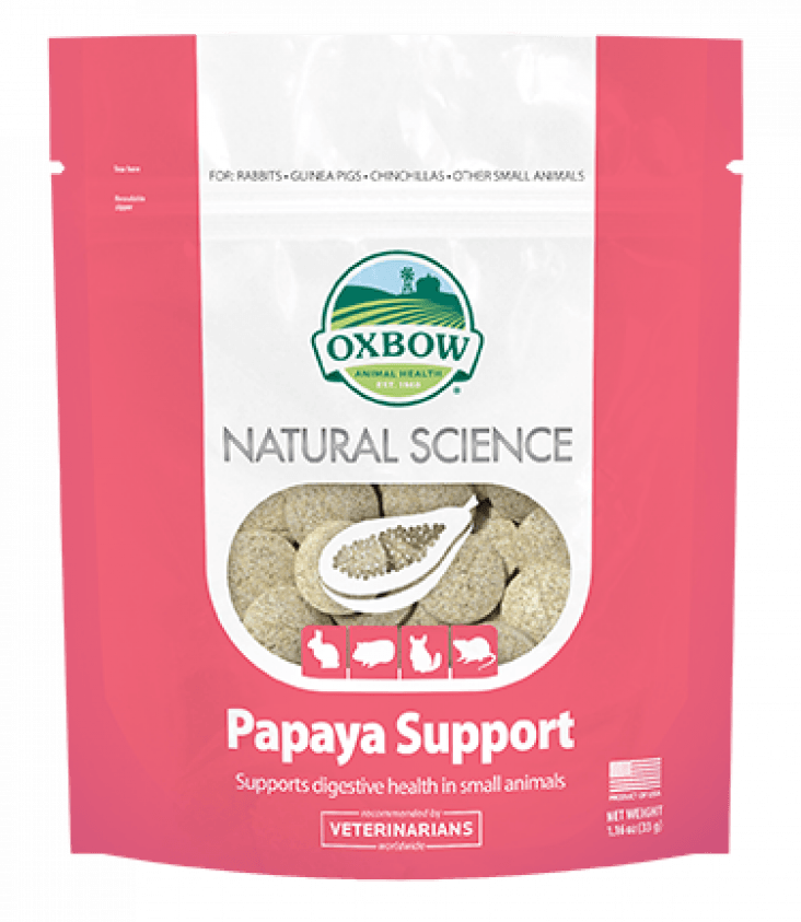 Oxbow papaya support pour rongeur