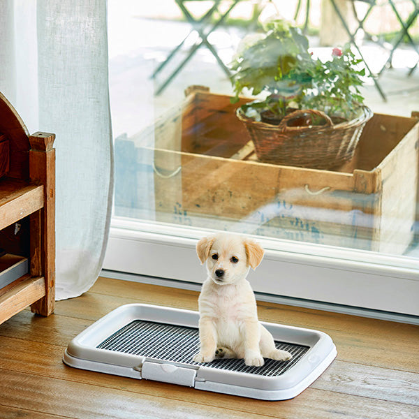 Toilette d'entraînement pour chiots avec pieds antidérapants et tourelle