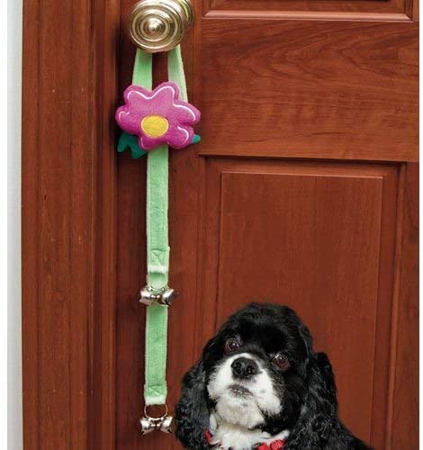 Cloche de dressage pour chiens fleur