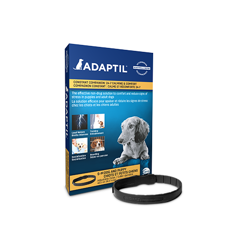 Adaptil collier calmant pour chiens et chiots