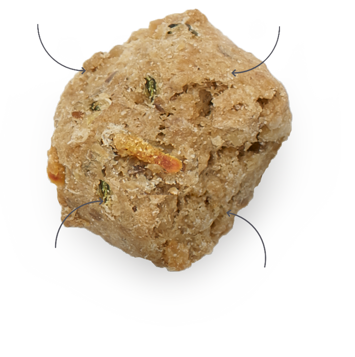 Honest kitchen poulet déshydraté sans grain nourriture pour chiens