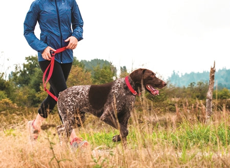 Rc pet laisse de contrôle professionnel pour chien
