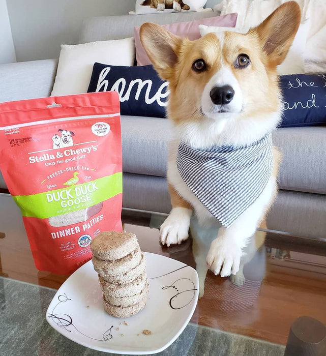 Stella & chewy's galettes duck duck goose cru lyophilisé nourriture pour chien