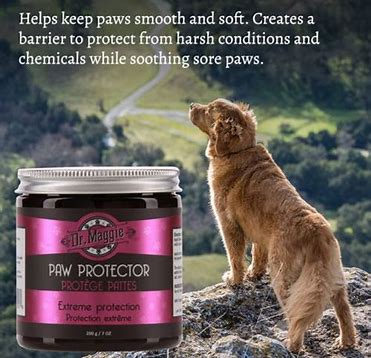 Dr maggie paw protector coupe froid pour chiens et chats