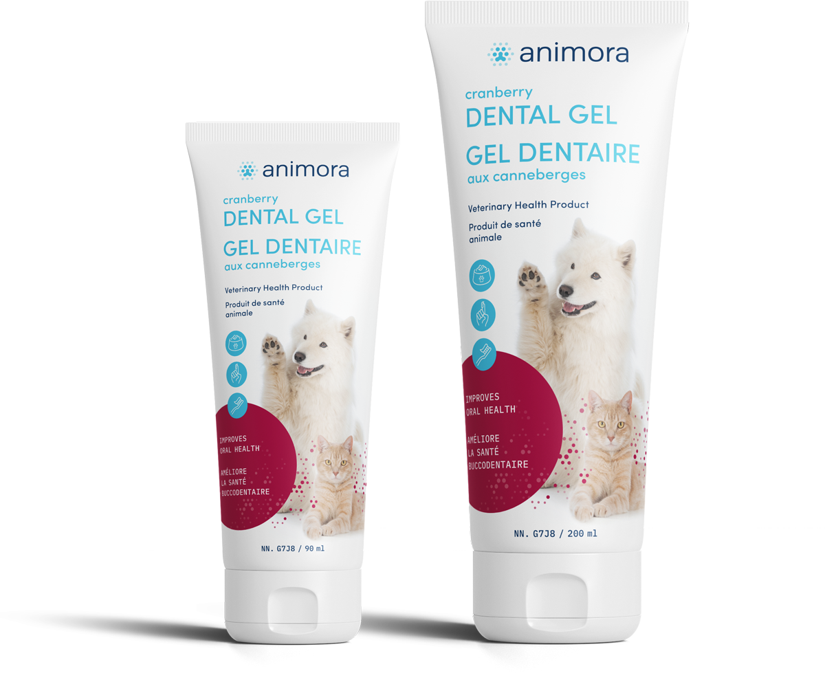 Animora gel dentaire aux canneberges