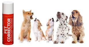 Pet corrector contrôle des aboiements sonore pour chien