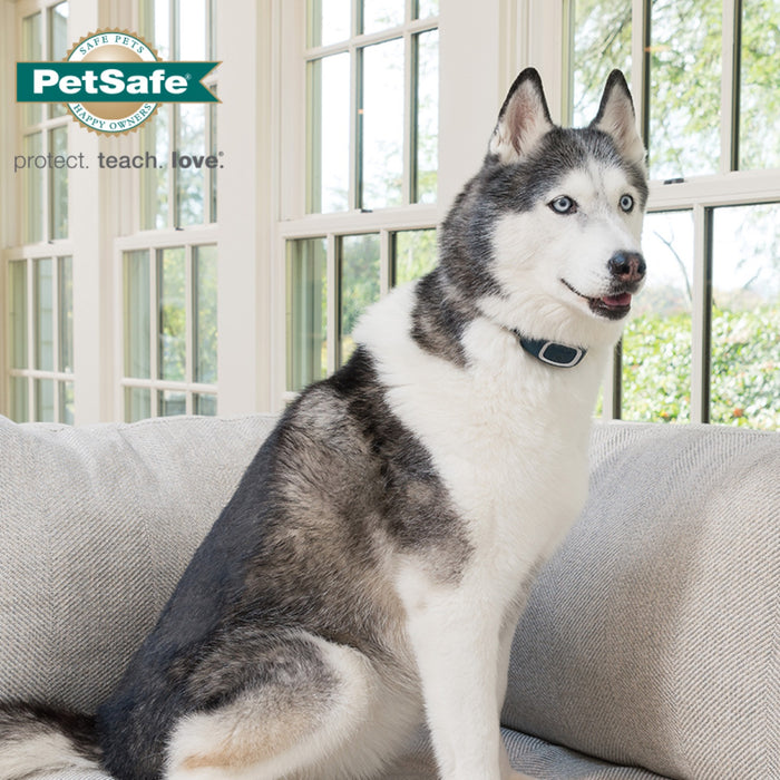 Petsafe collier contrôle des aboiements rechargeable pour chien