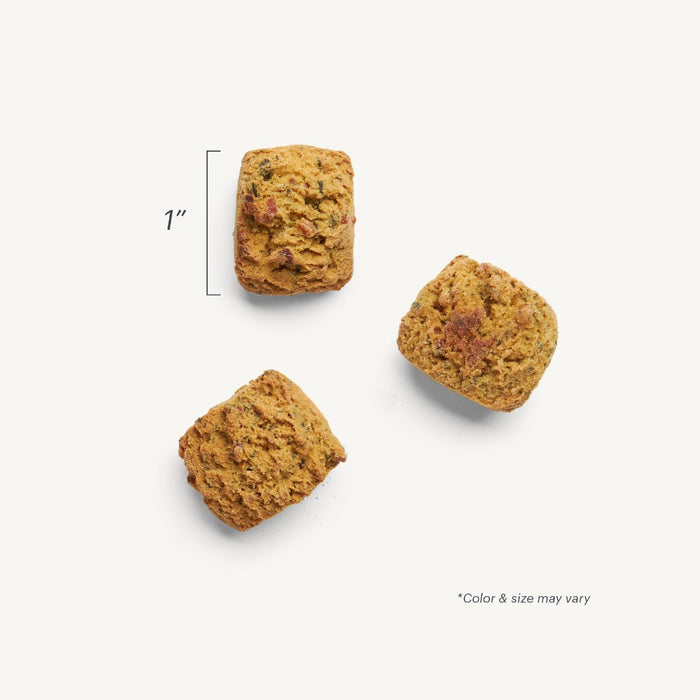 Honest Kitchen bouchées dinde, citrouille et persil pour chiens