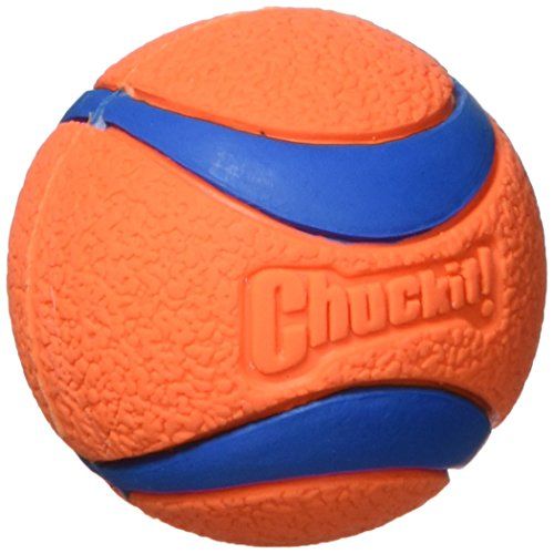 Chuck it ultra balle large pour chiens