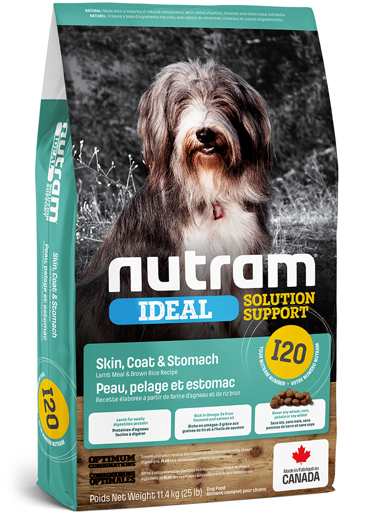 Nourriture chien estomac fragile