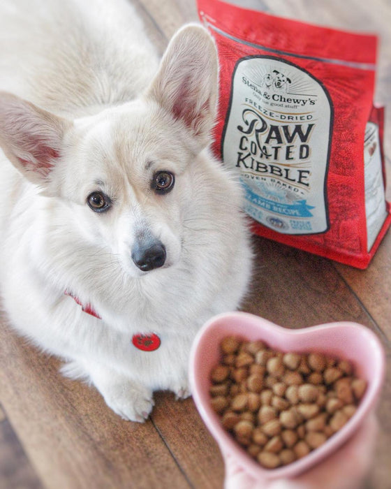 Stella & chewy's raw coated agneau nourriture pour chien