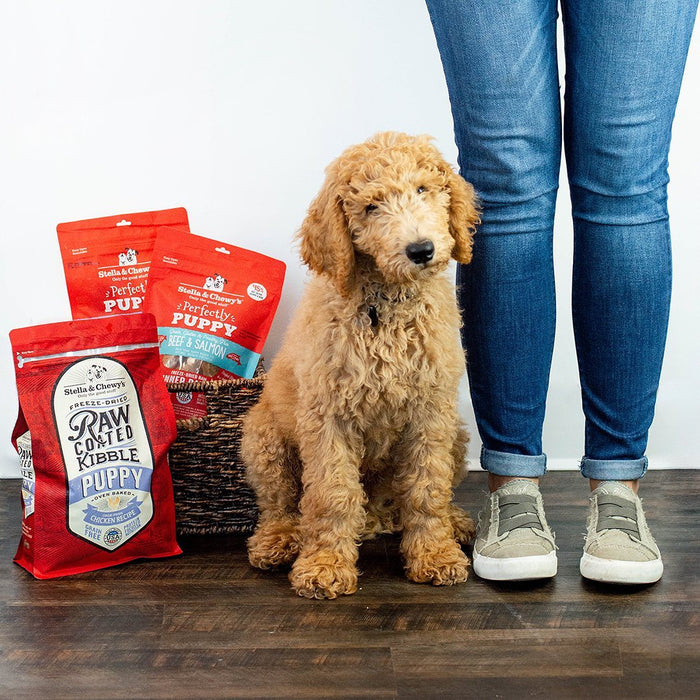 Stella & chewy's raw coated poulet nourriture pour chiot
