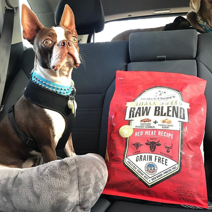Stella & chewy's raw blend viande rouge nourriture pour chien