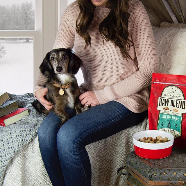Stella & chewy's raw blend poulet nourriture pour chien