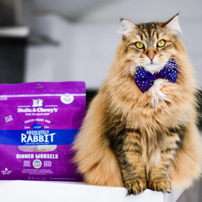 Stella & chewy dinner morsels lapin cru lyophilisés nourriture pour chat et chaton