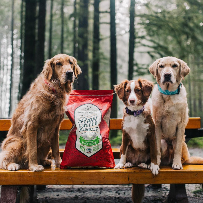 Stella & chewy's raw coated canard nourriture pour chien