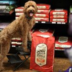 Stella & chewy's raw coated boeuf nourriture pour chien