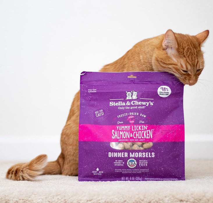 Stella & chewy dinner morsels saumon poulet lyophilisés nourriture pour chat et chaton
