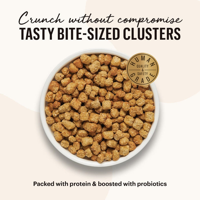 Honest Kitchen chat sans grains poulet