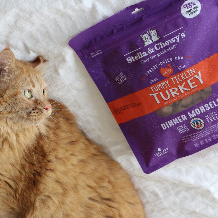 Stella & chewy dinner morsels dinde cru lyophilisé nourriture pour chat et chaton