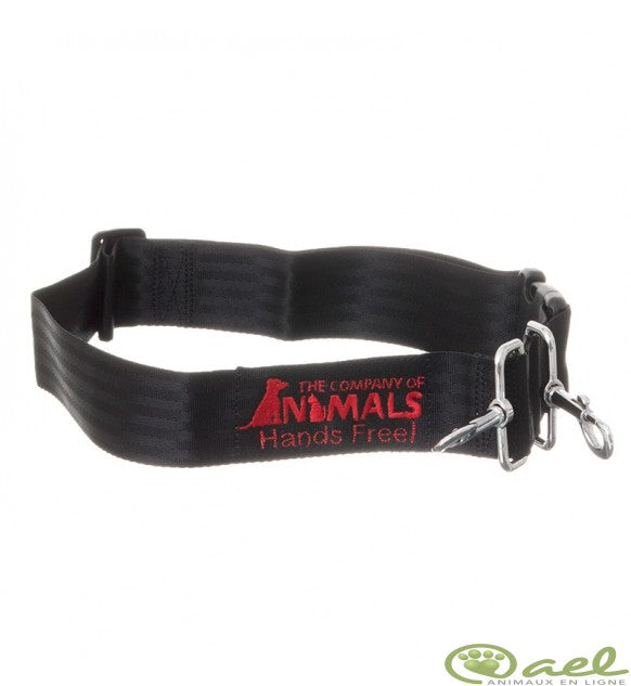Clix ceinture main libre pour chien
