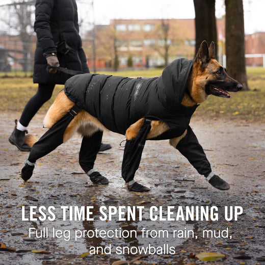 Bottes à bretelles pour chiens