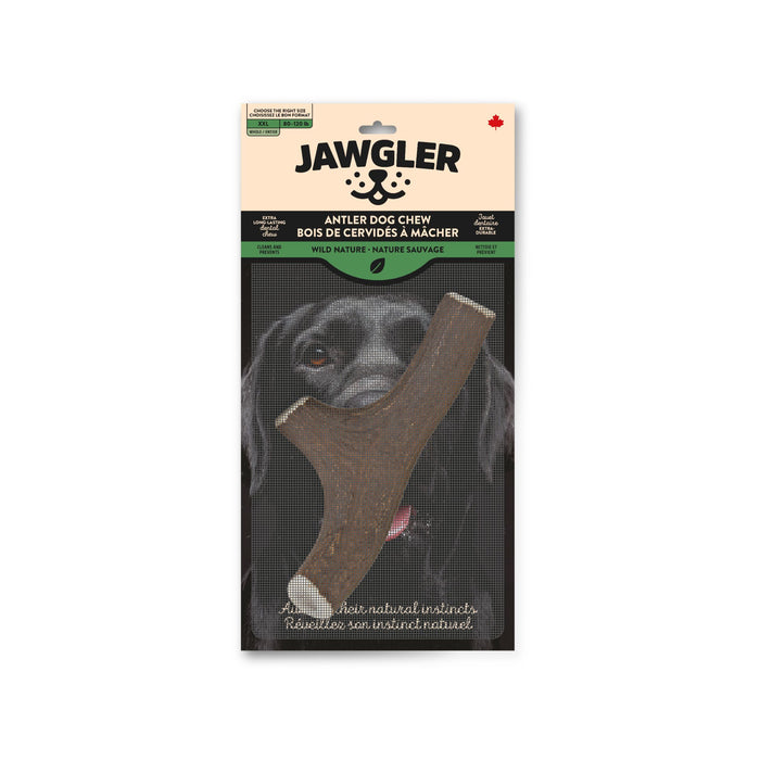 Jawgler bois de cervidés entiers à mâcher, nature sauvage