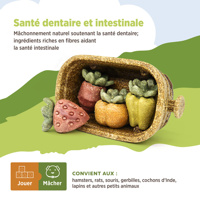 Living World – Jouet à mâcher comestible, Panier de récolte, multicolore, 158 g