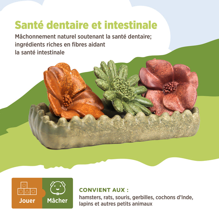 Living World – Jouet à mâcher comestible, Lit de fleurs, multicolore, 150 g
