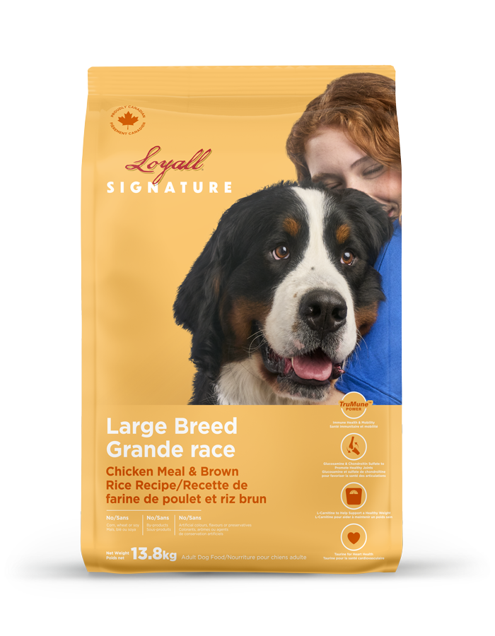 Loyall nourriture pour chien adulte de grande race