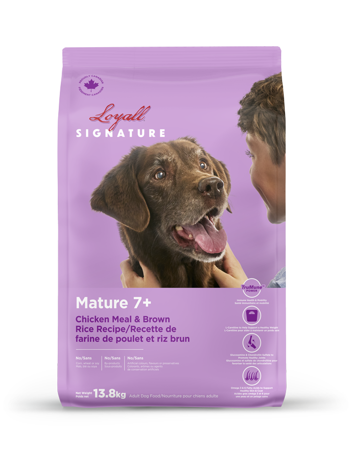 Loyall nourriture pour chien mature 7+