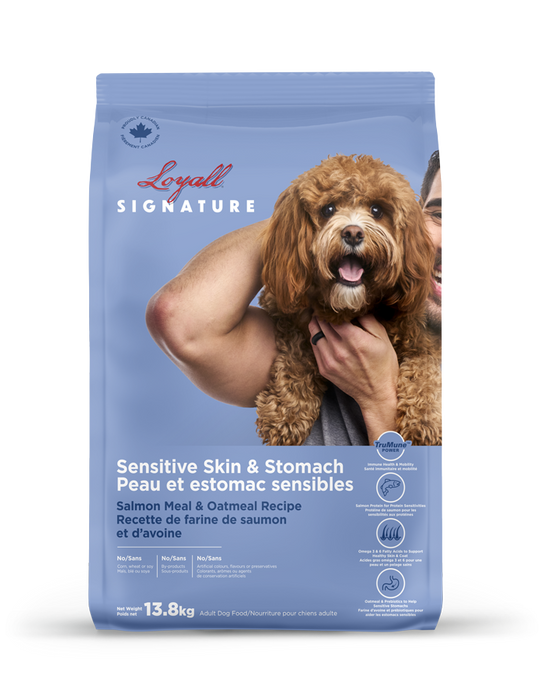 Loyall Signature Recette de saumon pour peau et estomac sensibles 13,8 KG