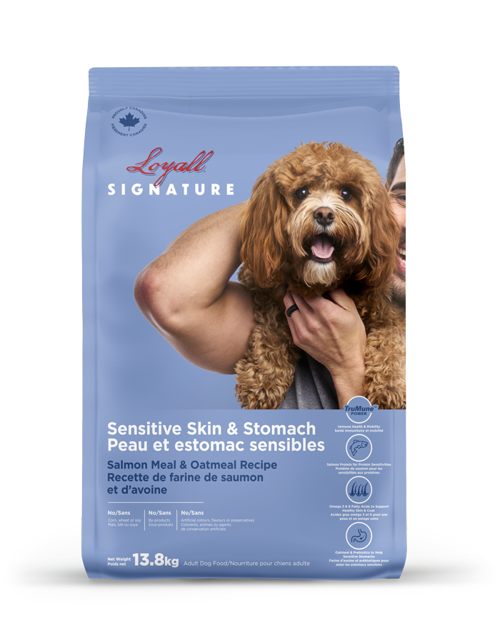 Loyall Signature Recette de saumon pour peau et estomac sensibles 13,8 KG